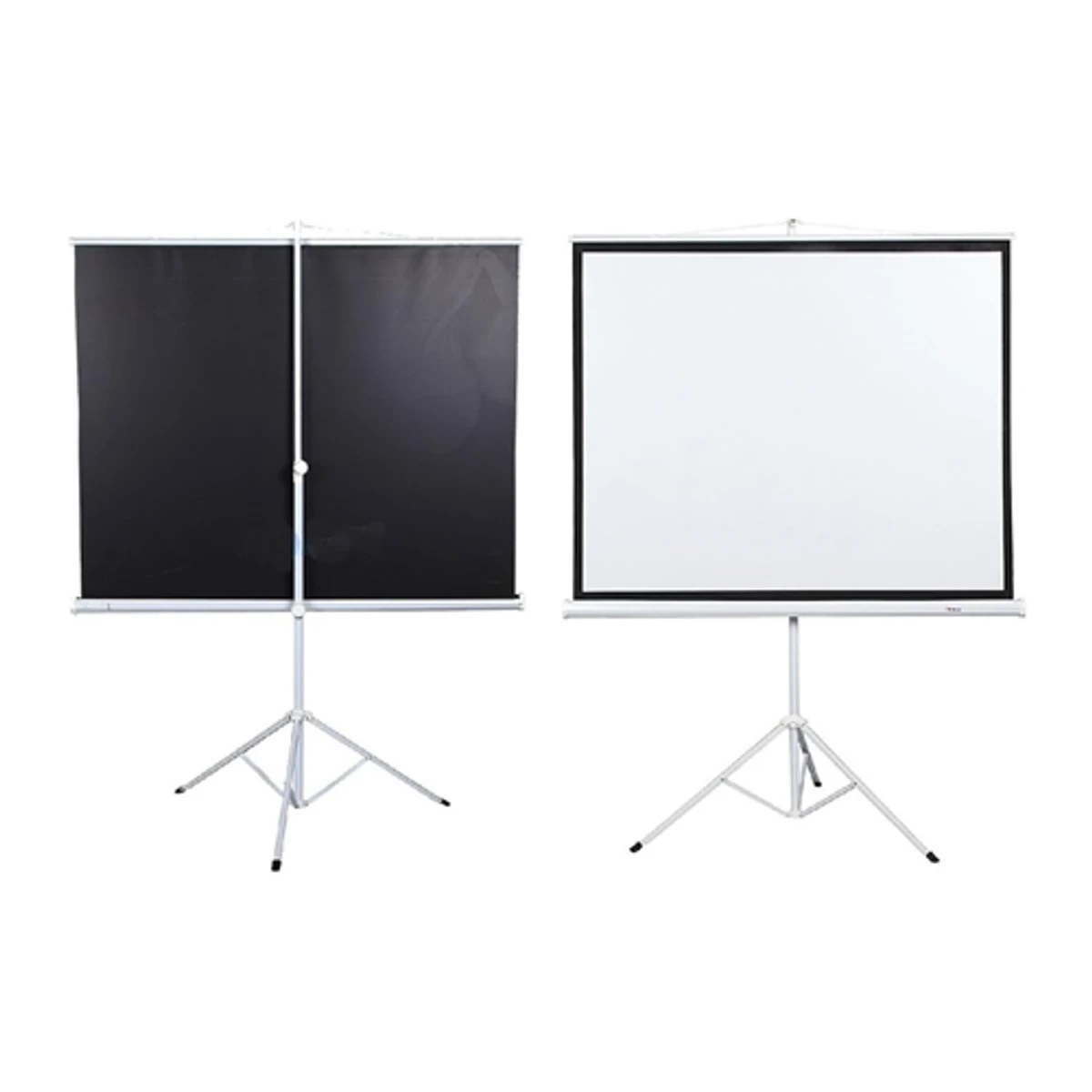 Apollo 60"X60" Tripod Projector Screen