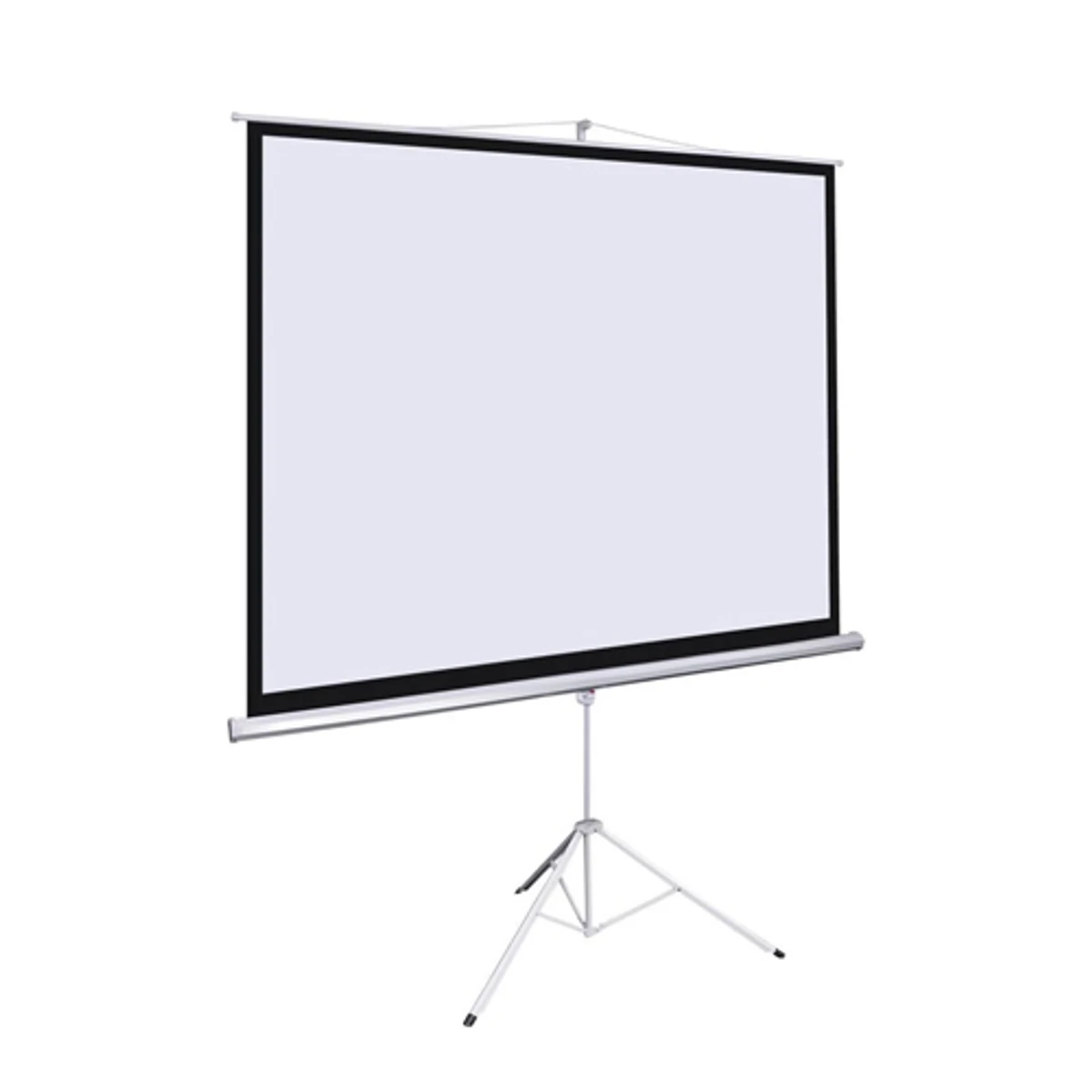 Apollo 60"X60" Tripod Projector Screen